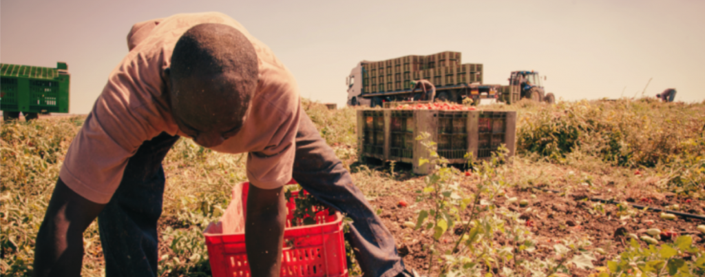 Morti di lavoro e caldo, strage di sfruttati